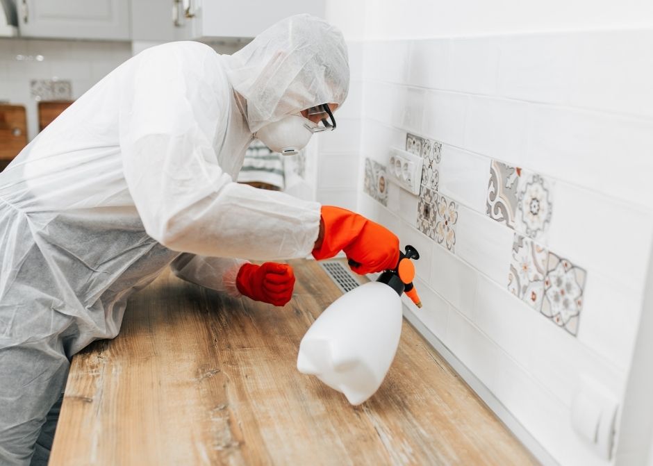 Kütahya Böcek İlaçlama Firmaları